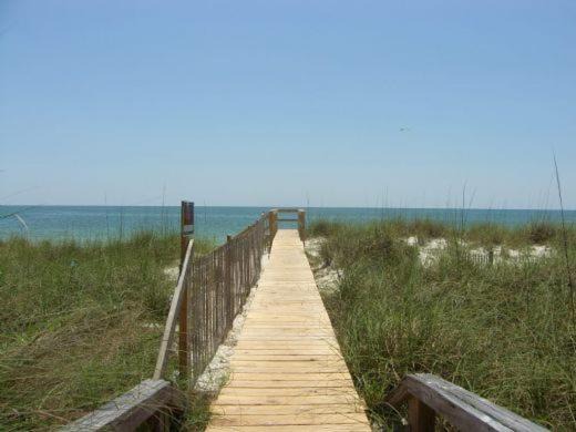 Photo of Others in Cape San Blas