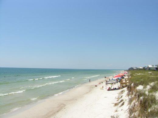 Photo of Others in Cape San Blas