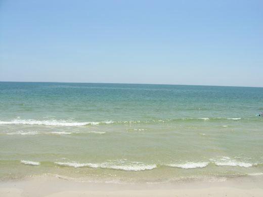 Photo of Others in Cape San Blas