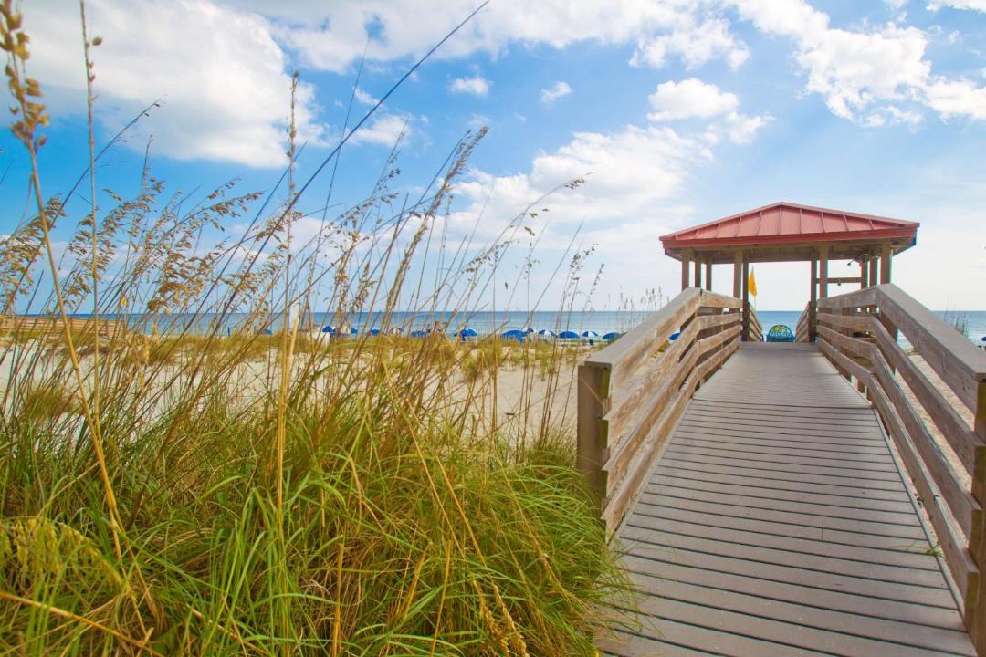 Photo of Others in Pensacola Beach