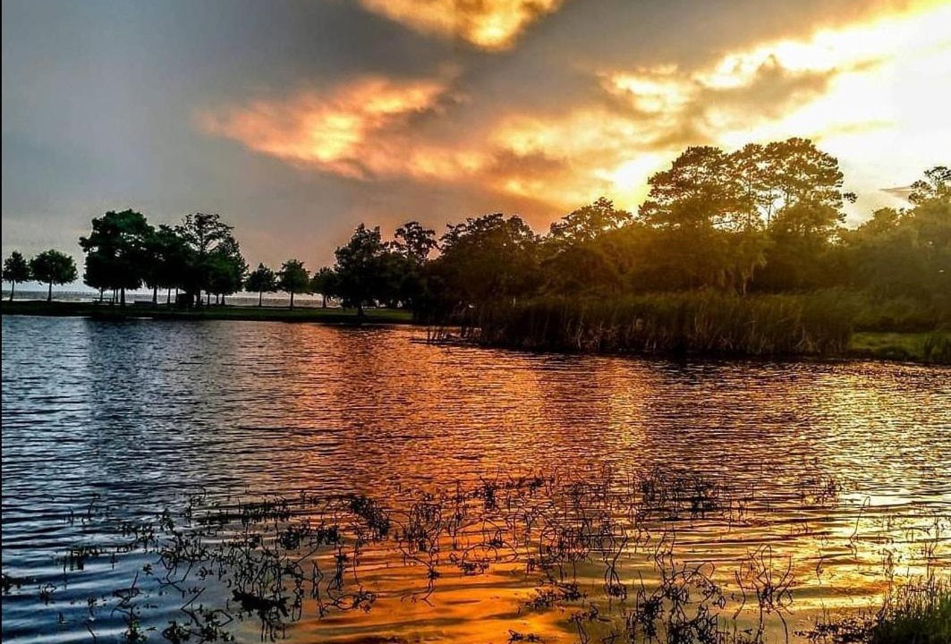 Photo of Others in Mandeville