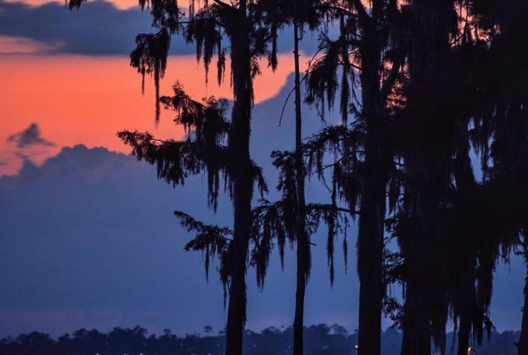 Photo of Others in Mandeville