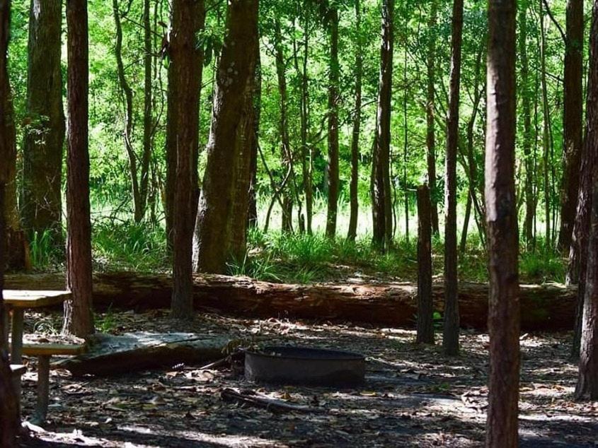 Photo of Others in Mandeville