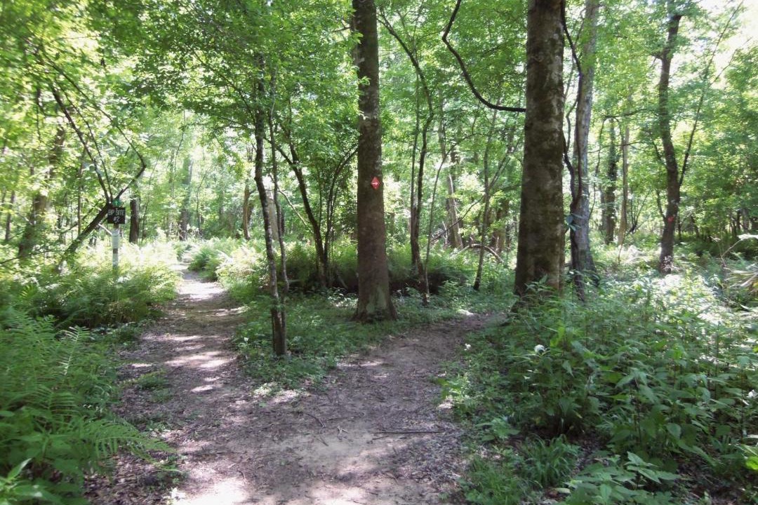 Photo of Others in Iberia Parish