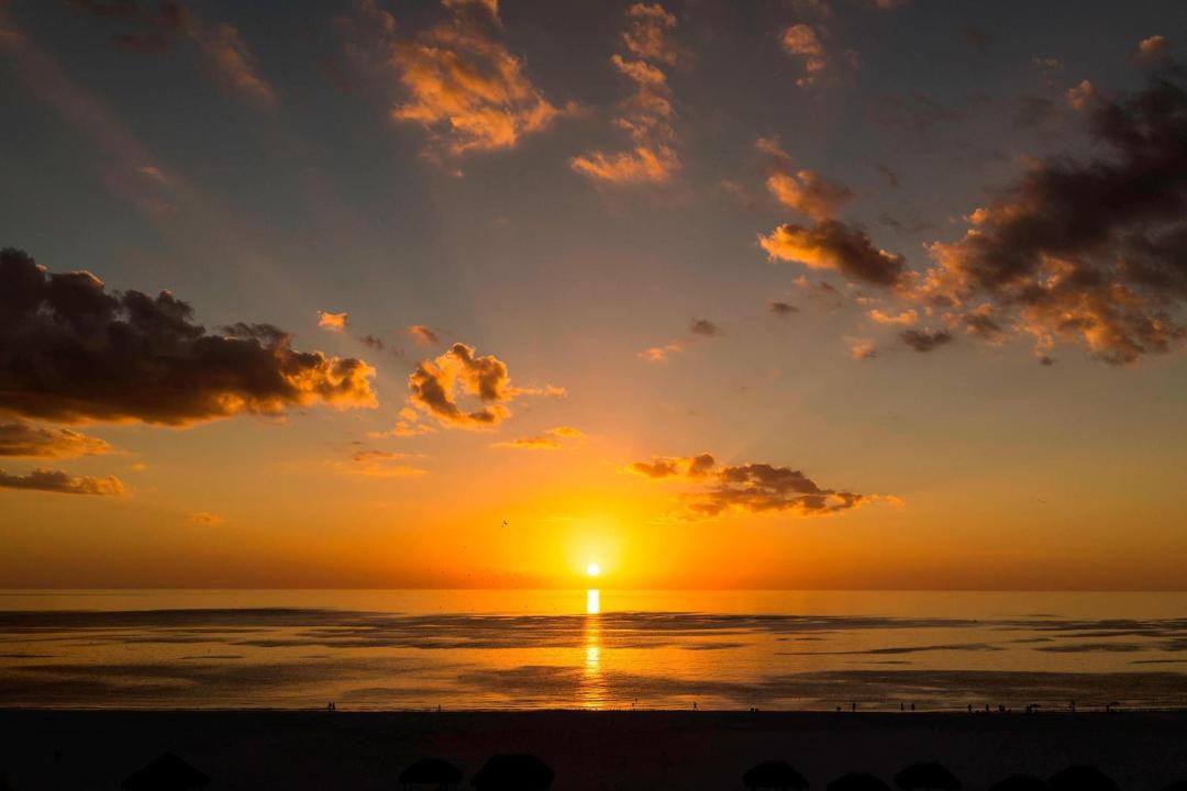 Photo of Others in Marco Island