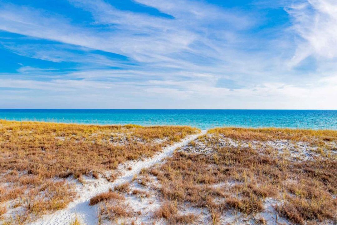 Photo of Others in Navarre Beach