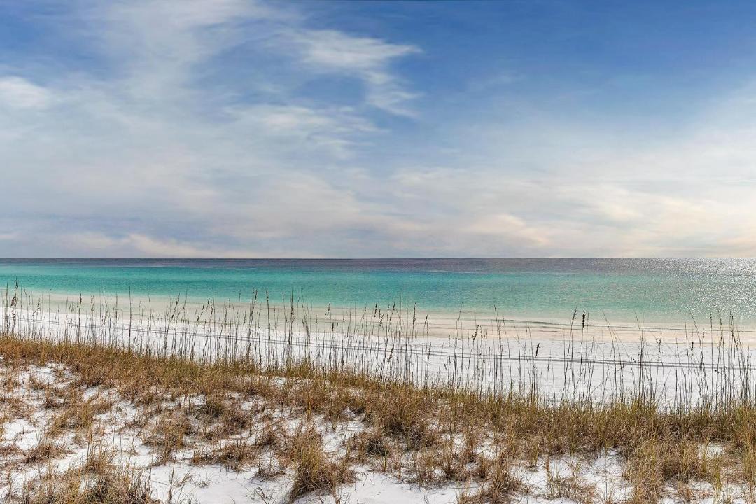 Photo of Others in Miramar Beach