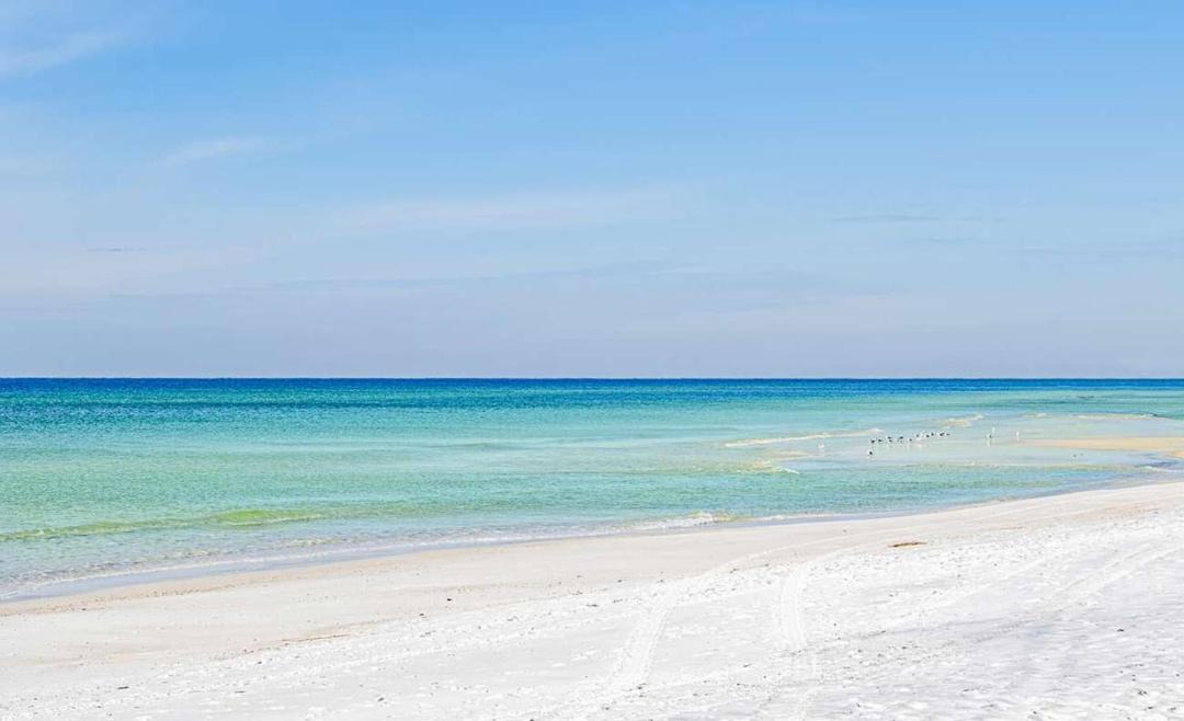Photo of Others in El Centro Beach