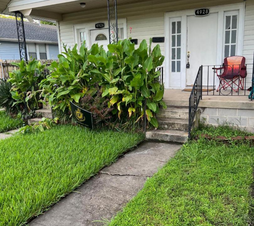 Photo of Buildings in Gentilly Terrace