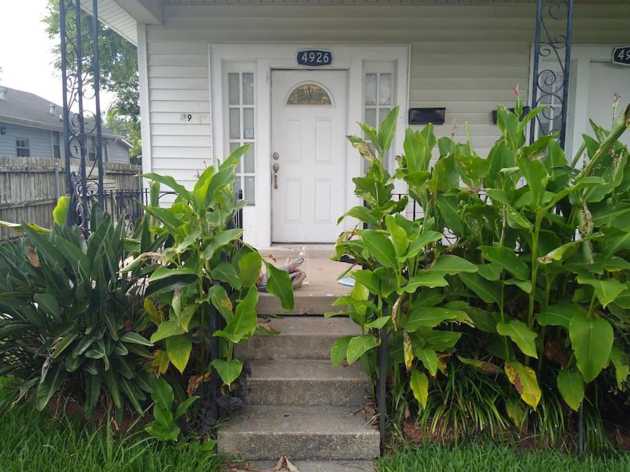 Photo of Buildings in Gentilly Terrace
