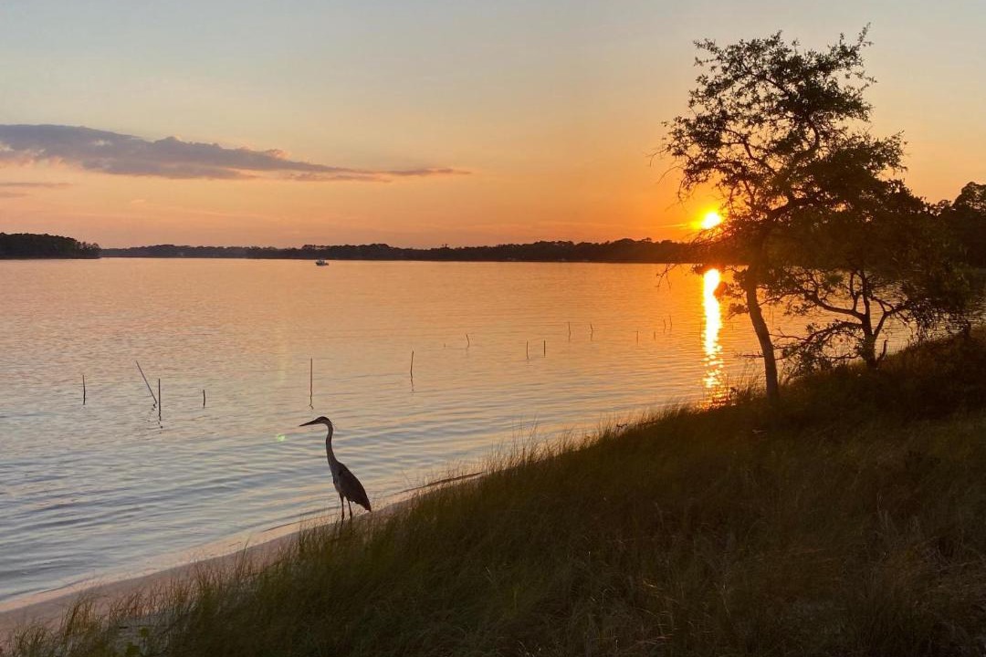 Photo of Outdoor in Navy Point
