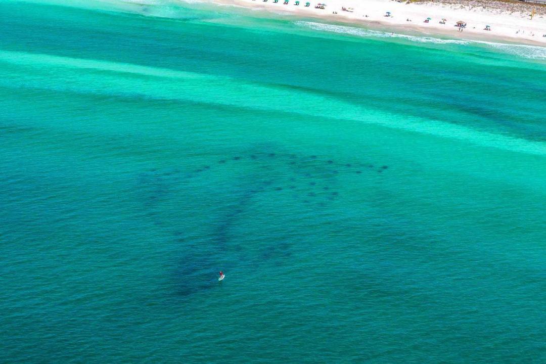 Photo of Others in Miramar Beach