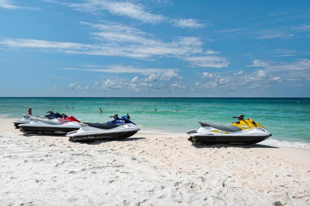 Photo of Human In Picture in Panama City Beach