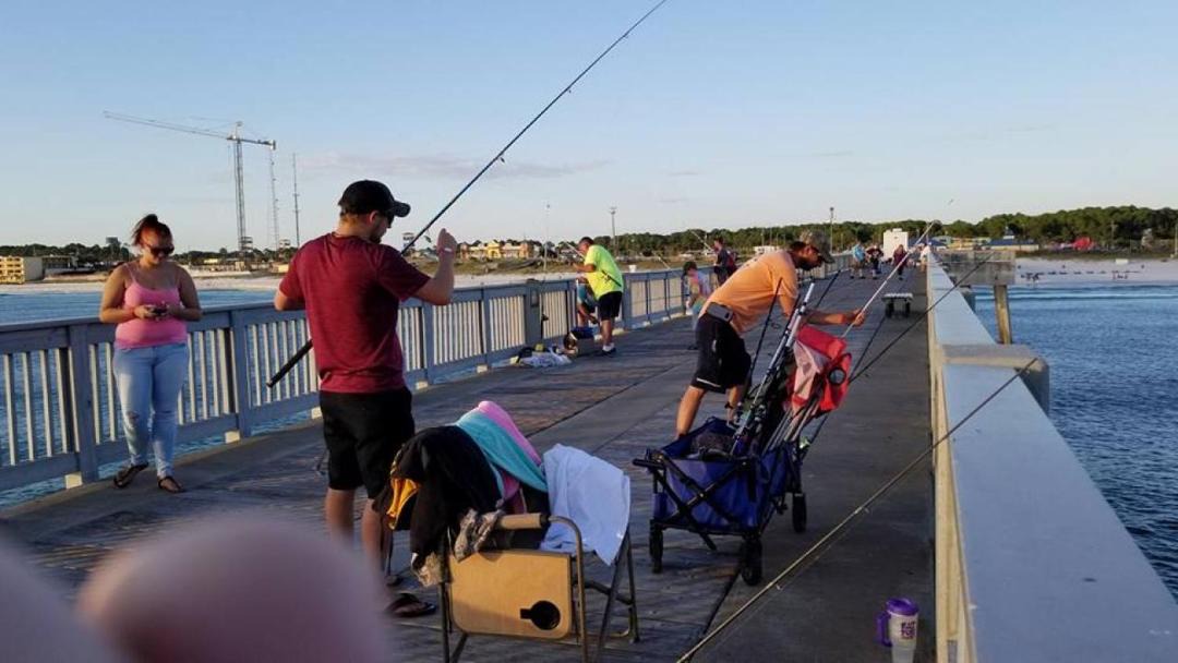 Photo of Others in Gulf Coast Development