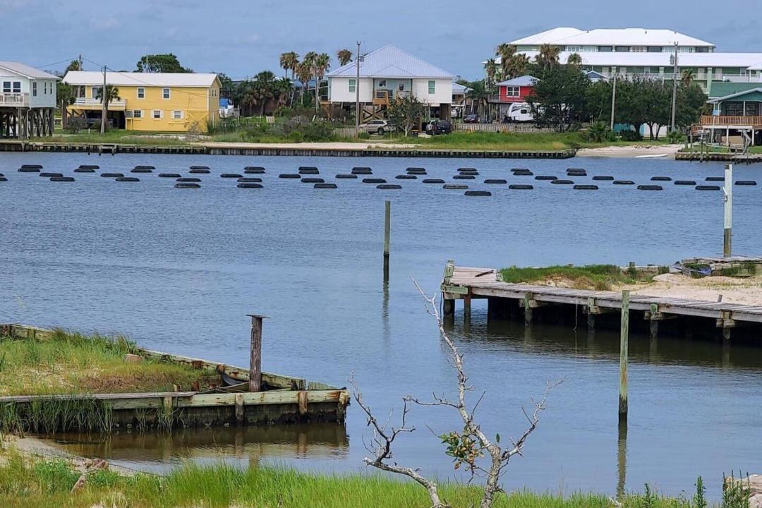 Photo of Others in Fort Morgan