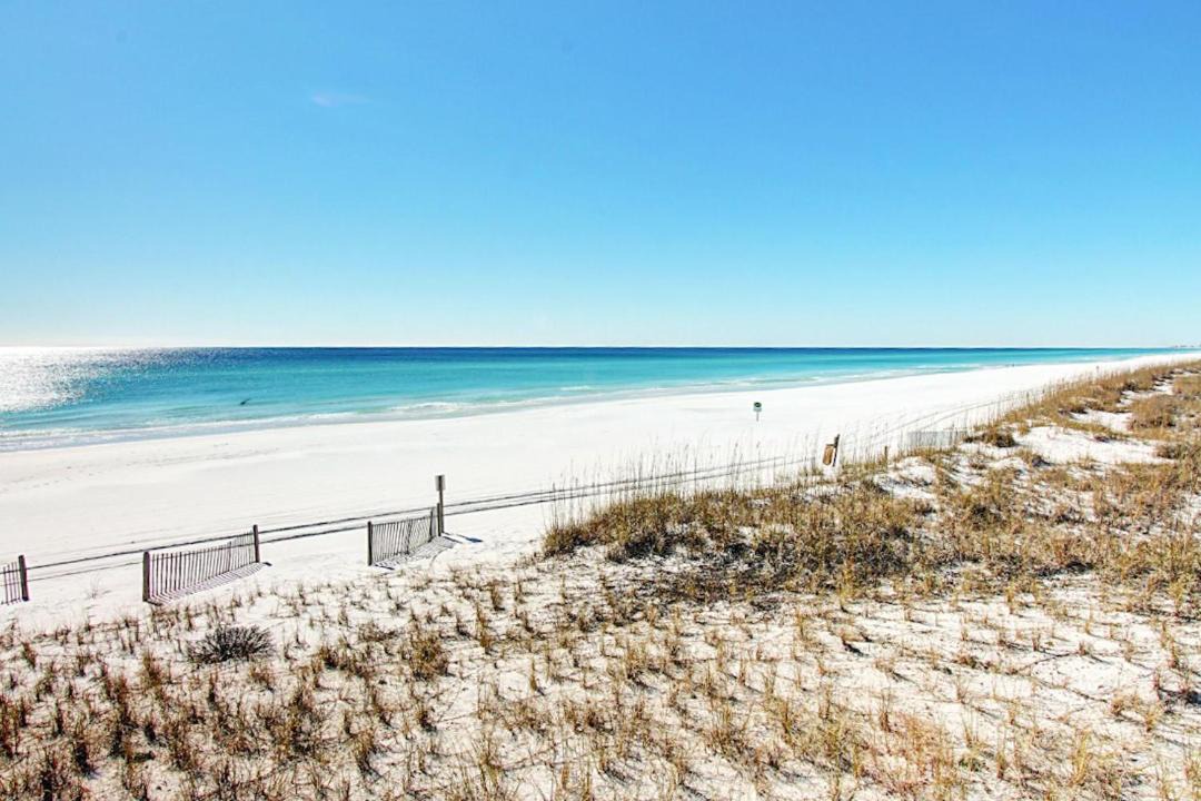 Photo of Others in Miramar Beach