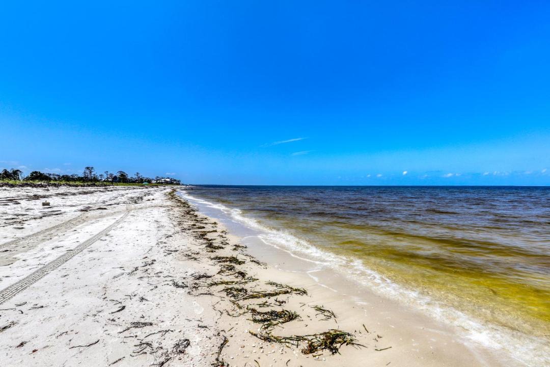 Photo of Others in Port St. Joe