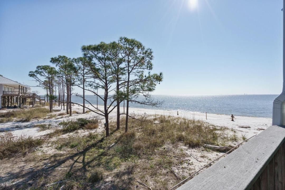 Photo of Others in Dauphin Island