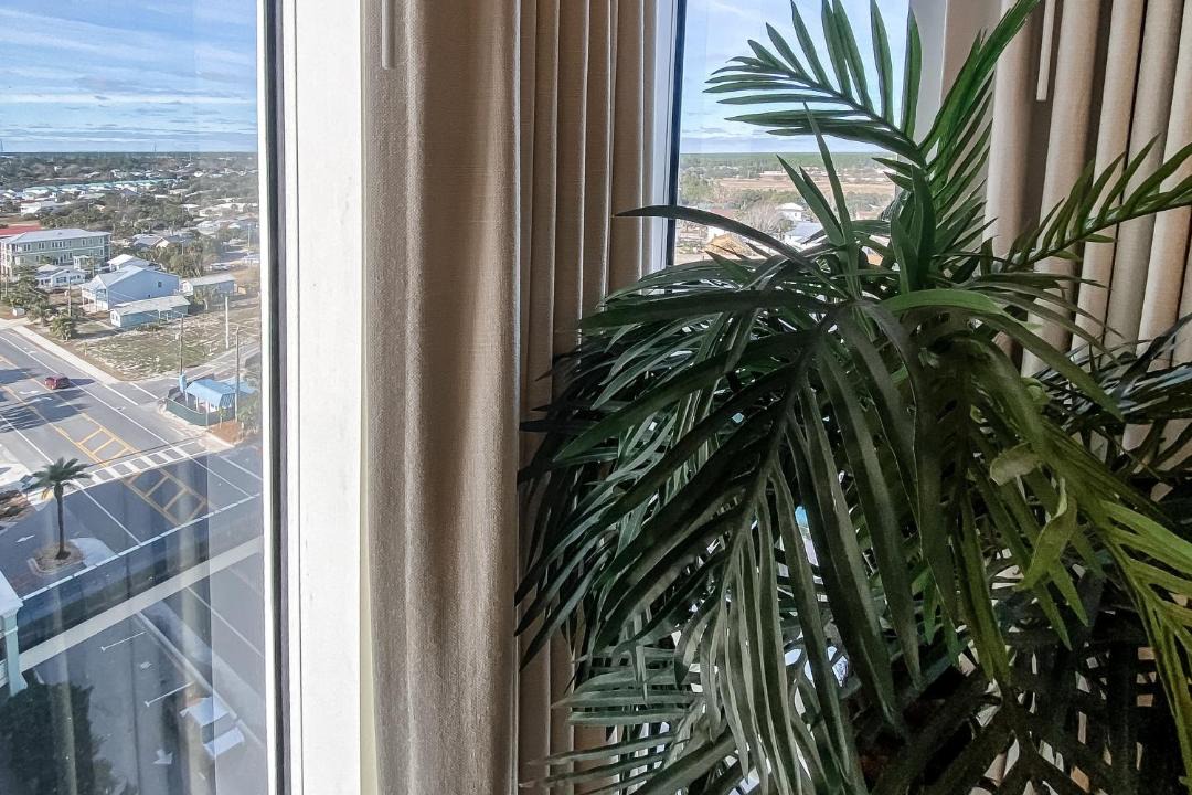 Photo of Others in West Panama City Beach