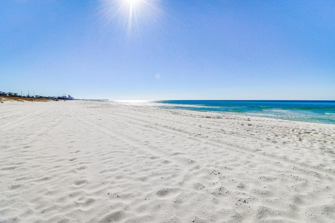 Photo of Others in Laguna Beach