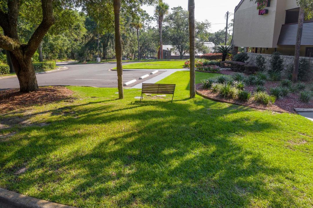 Photo of Others in Tallahassee