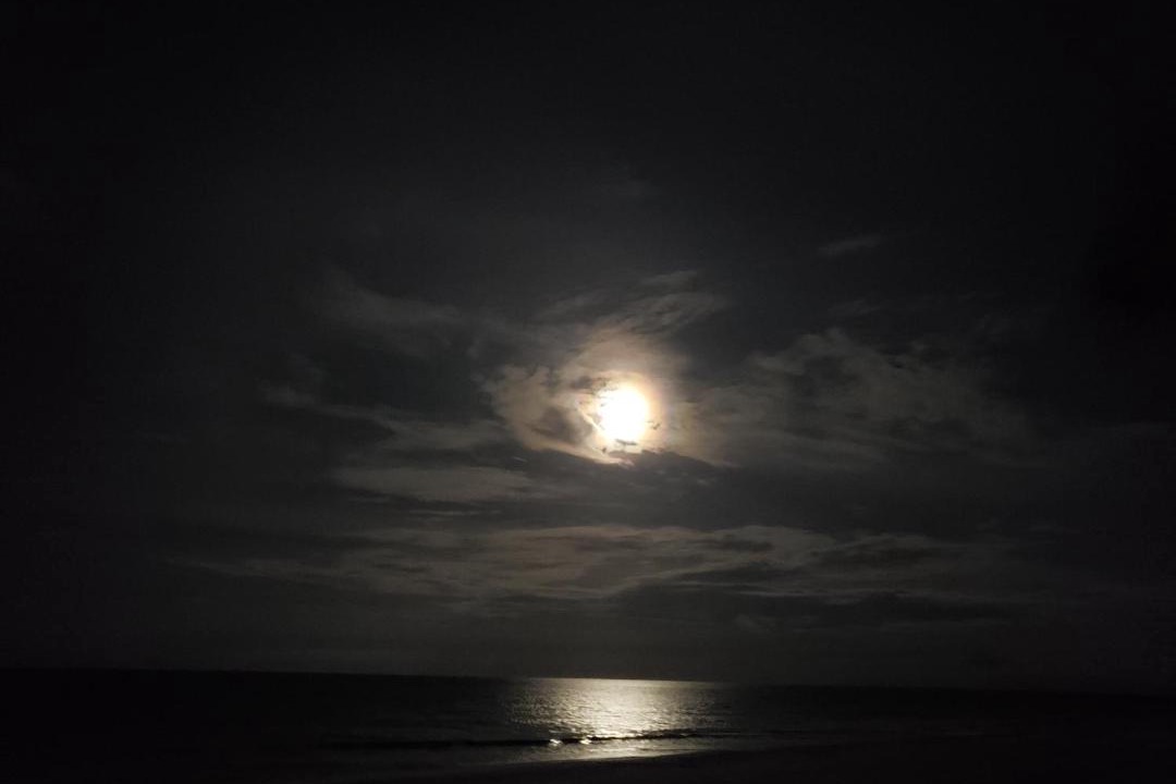 Photo of Others in Ocean Dunes South