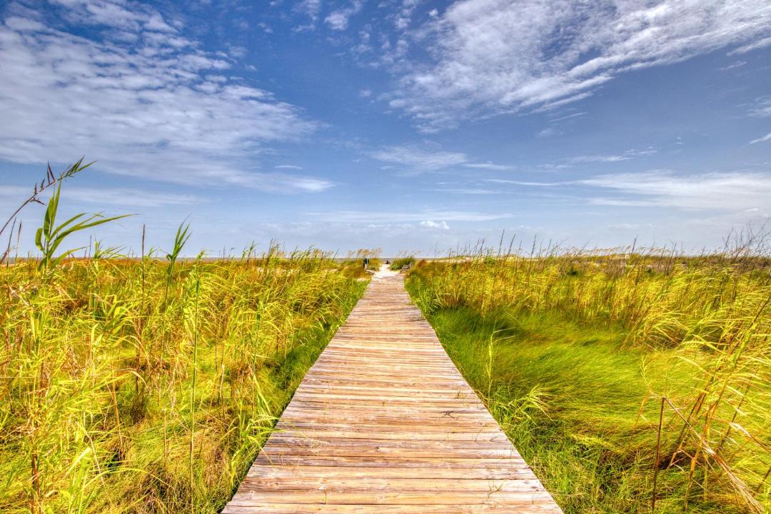 Photo of Others in Dauphin Island
