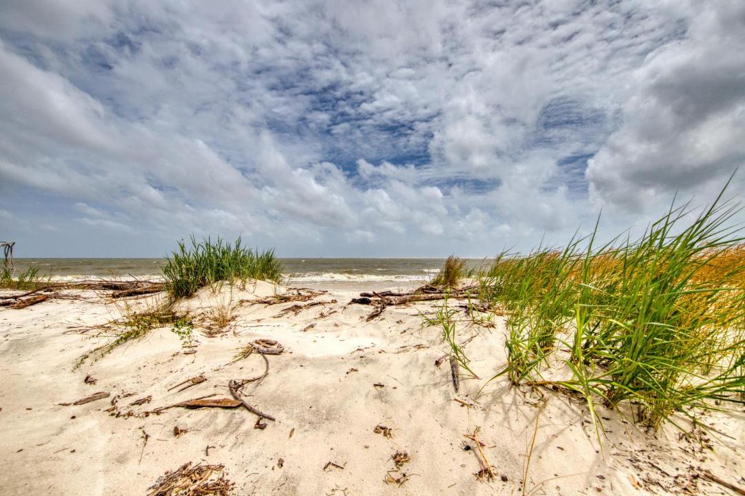 Photo of Others in Dauphin Island