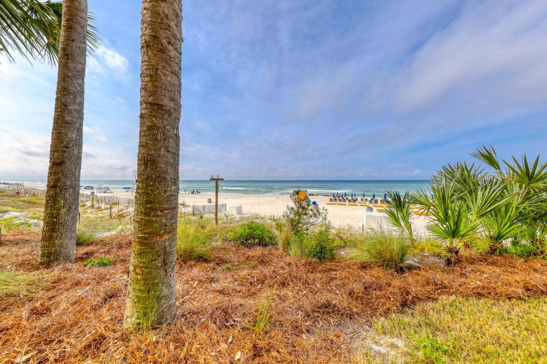 Photo of Others in Panama City Beach