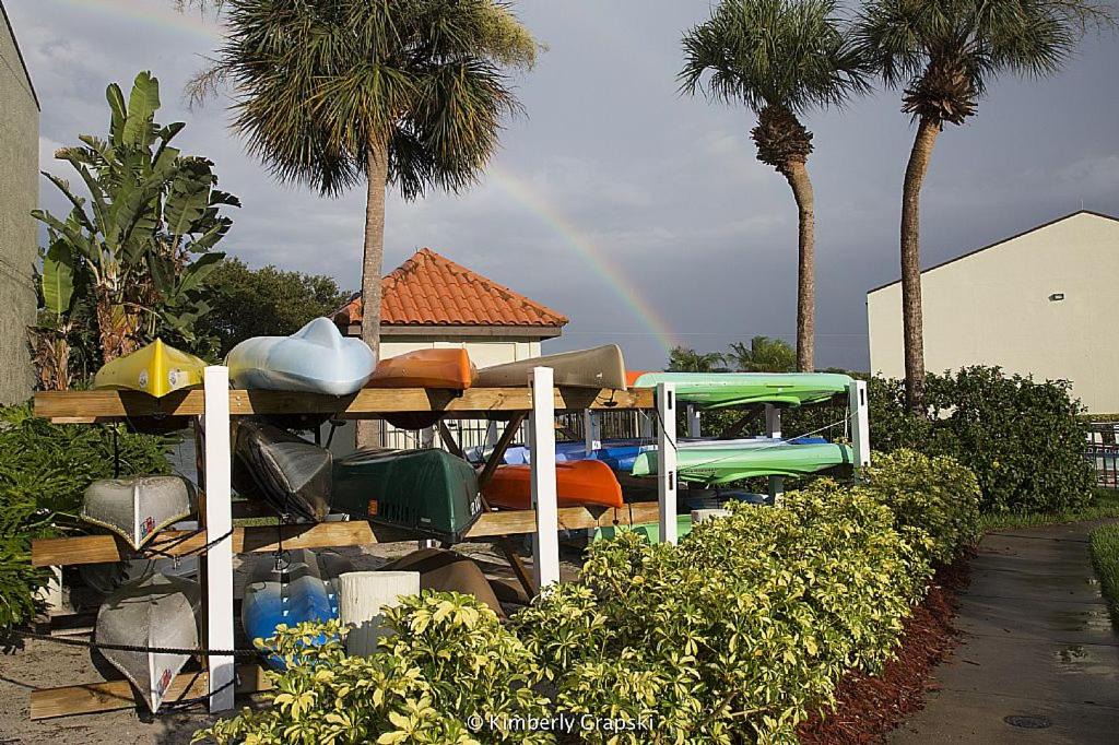 Photo of Others in Tierra Verde