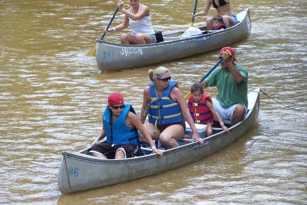 Photo of Others in Harold