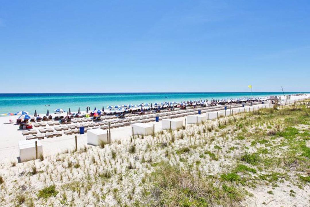 Photo of Others in Panama City Beach