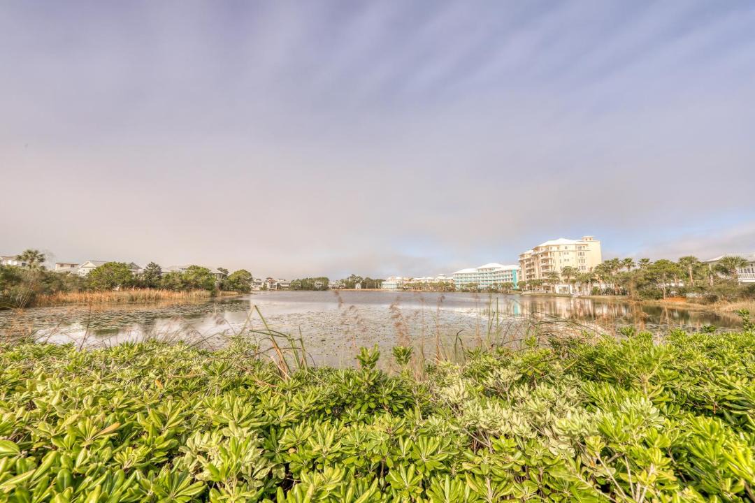 Photo of Outdoor in Sunnyside
