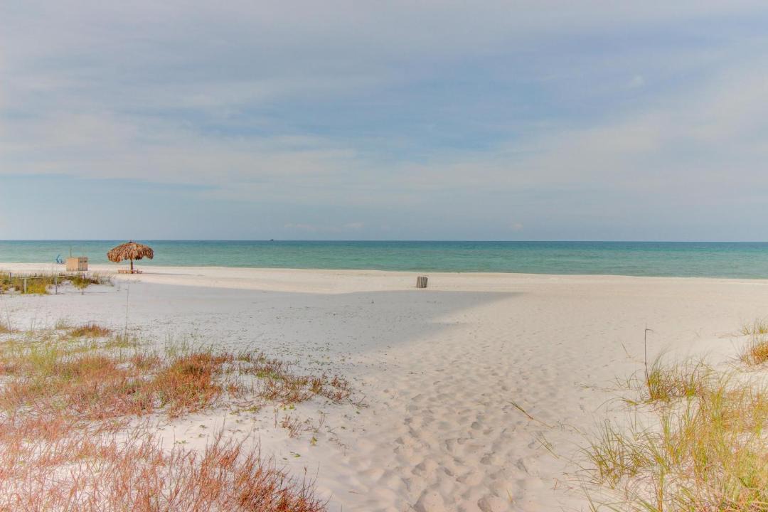 Photo of Others in Biltmore Beach
