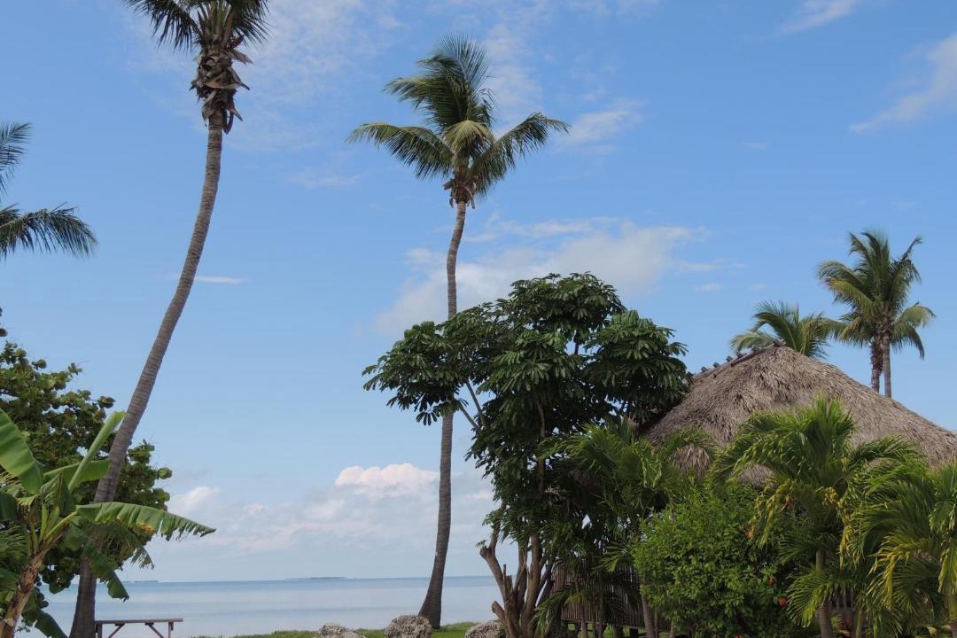 Photo of Outdoor in Big Pine Key