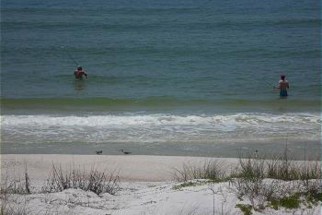 Photo of Human In Picture in Port St. Joe