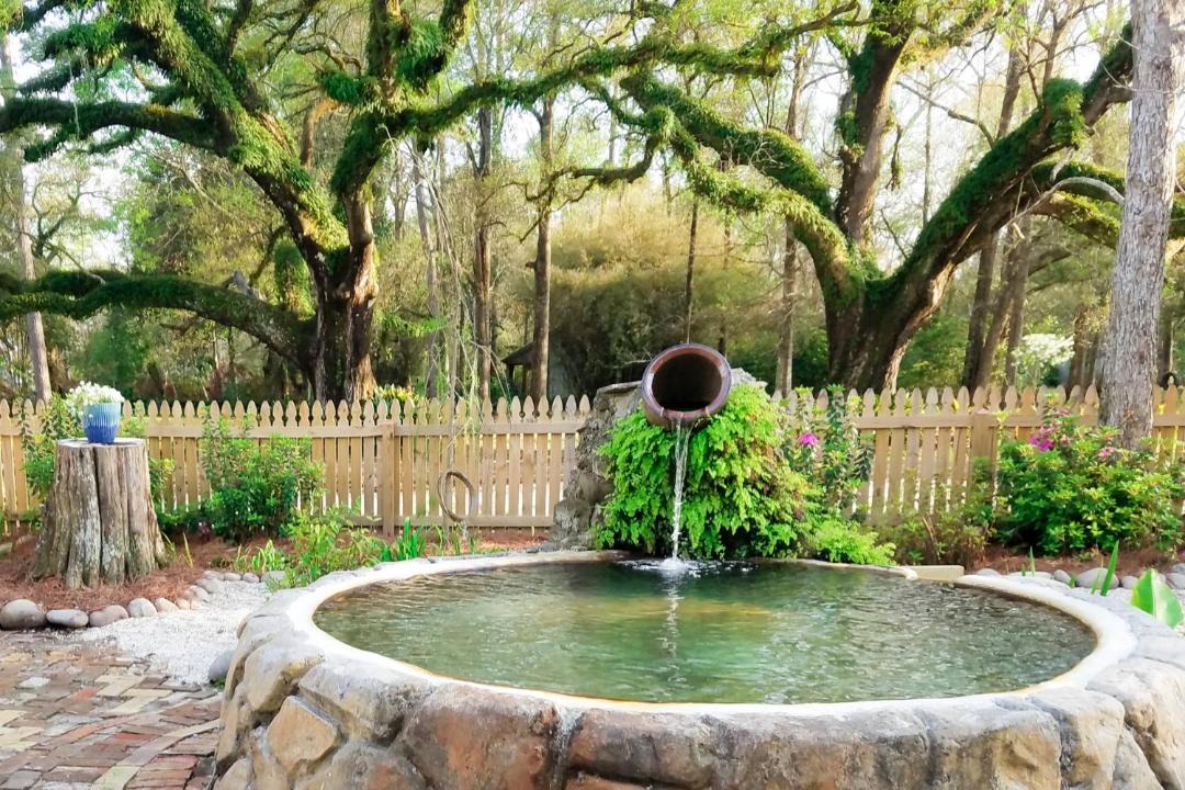 Photo of Others in Abita Springs