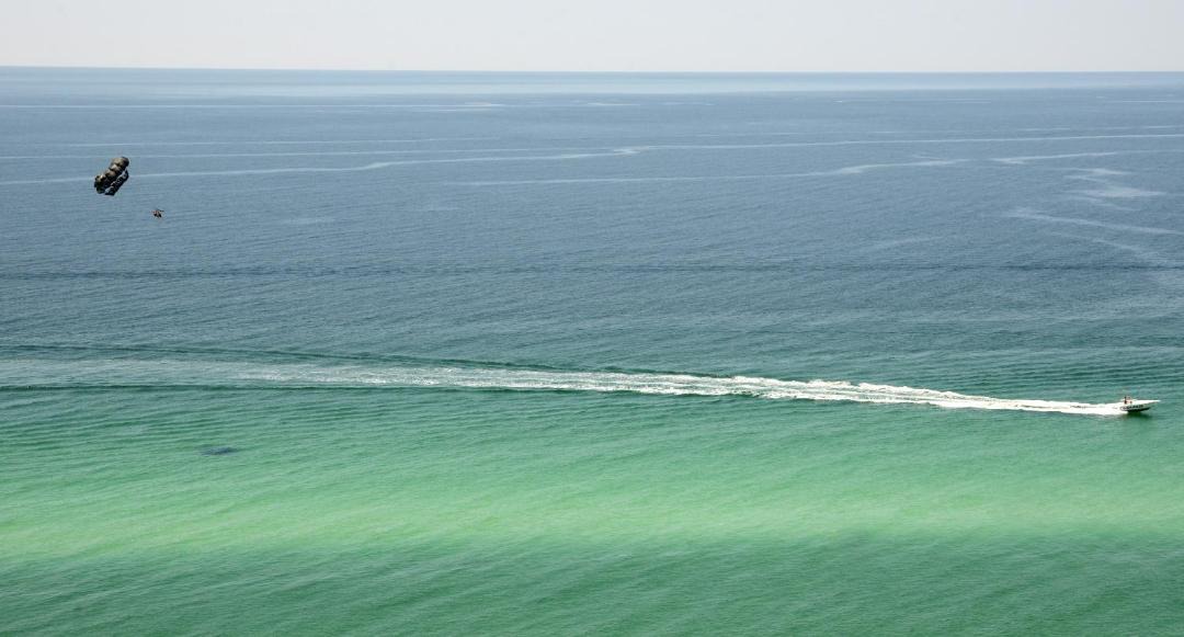 Photo of Others in West Panama City Beach