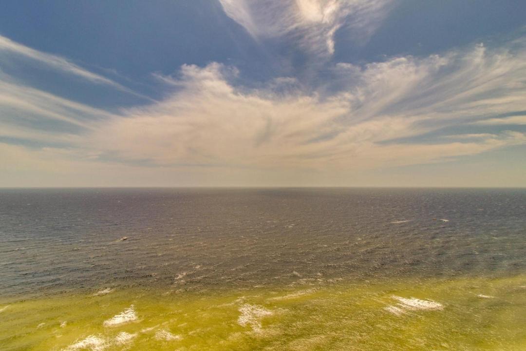 Photo of Others in Panama City Beach