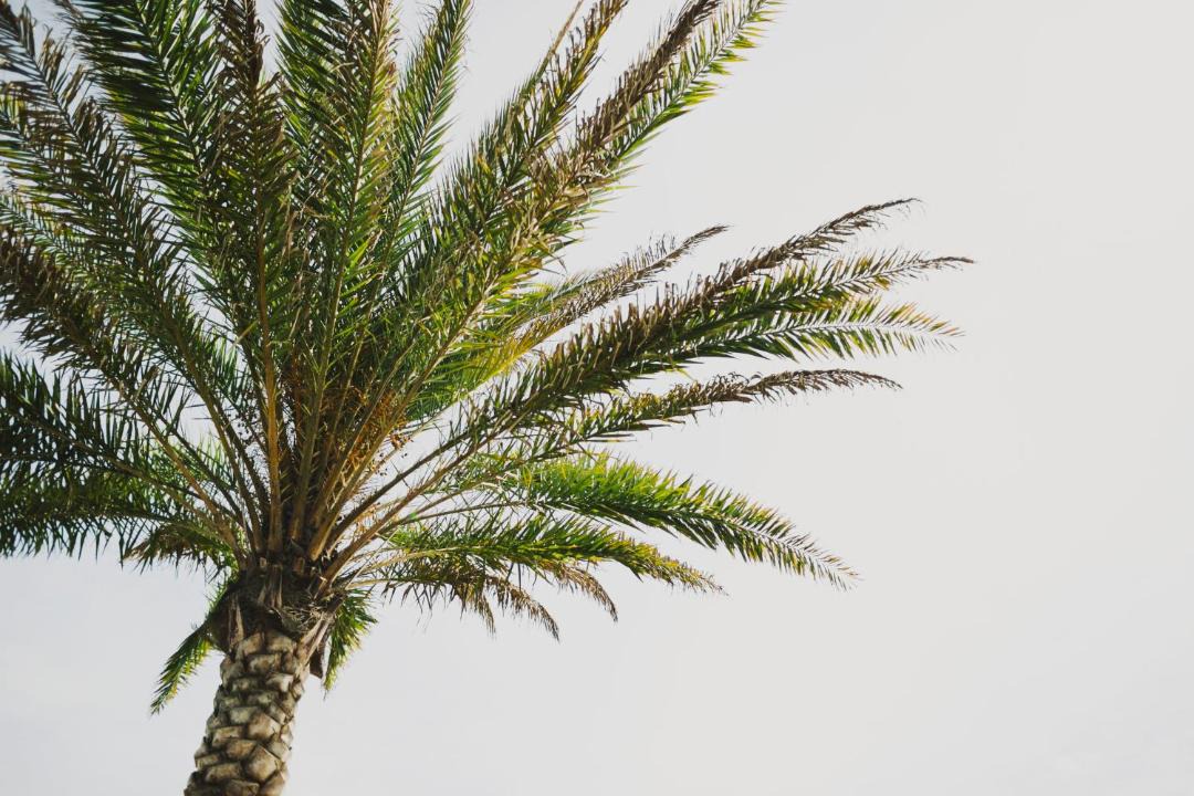 Photo of Outdoor in Gulf District