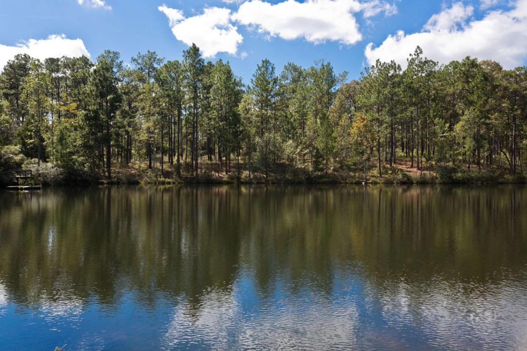 Photo of Outdoor in Chipley