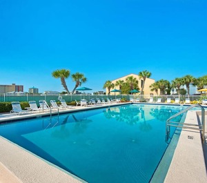 Dolphin Point 