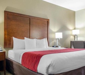 Comfort Inn Suites Covington Mandeville 