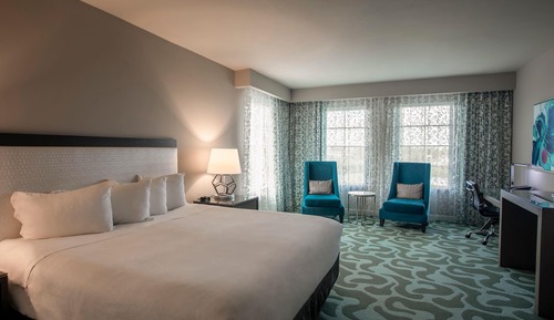 Room, 1 King Bed, Non Smoking (Mobility, Roll-in Shower)