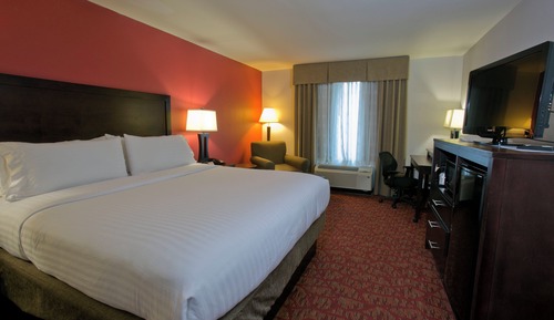 Standard Room, 1 King Bed, Accessible (Communications)
