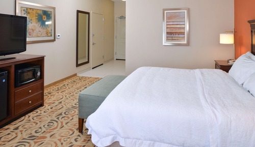 Room, 1 King Bed, Accessible, Non Smoking
