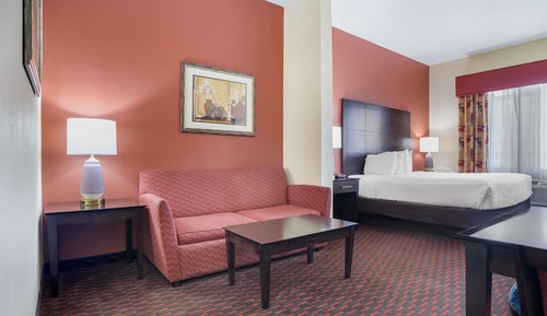Suite, 1 King Bed, Non Smoking, Refrigerator & Microwave (with Sofabed)