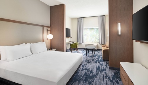 Suite, 1 King Bed with Sofa bed