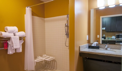 Studio, 1 King Bed with Sofa bed (Mobility/Hearing Access, Roll-In Shwr)