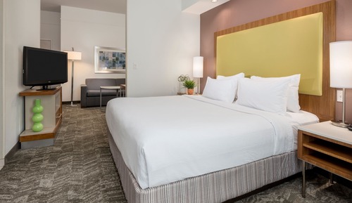 Suite, 1 King Bed with Sofa bed, Hearing Accessible (Roll-in Shower)